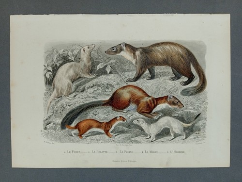 Gravure xixéme siècle - gravure,