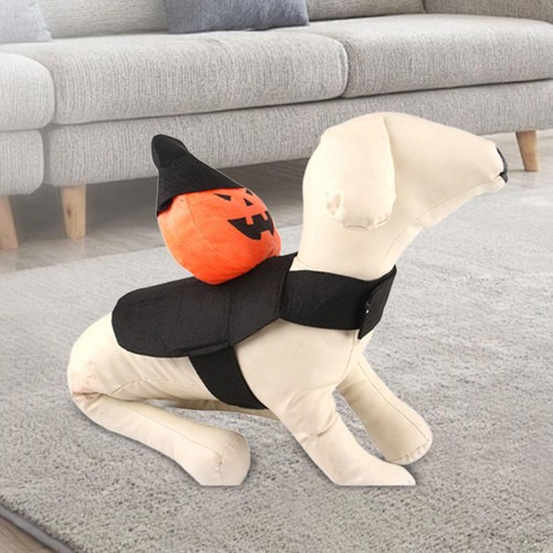 Tenue halloween pour chien - tenue, d'halloween