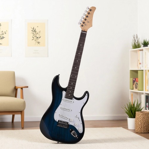 Beginner style electric - beginner, st-style