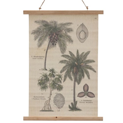 Toile déco palmier - , à