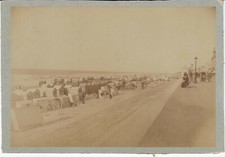 Originale Photo 19ème - BELGIQUE - Blankenberge - La plage 2
