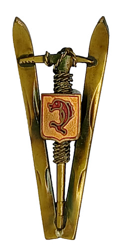 Insigne montagne ski msk - montagne,