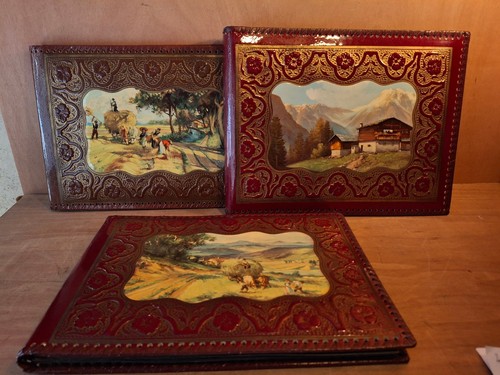 Albums photos anciens - 3,