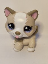 Authentic Littlest Pet Shop #1817 Husky Dog / Original Hasbro LPS