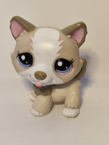 Authentic littlest pet - authentic, shop