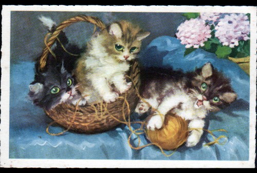 Chatons tricot jeu à - tricot, /