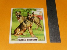 CHROMO 1936 CAFES GILBERT RACES DE CHIENS BERGER MALINOIS & D'ALSACE