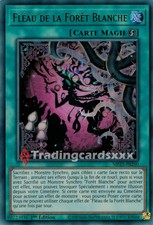 Yu-Gi-Oh! Fléau de la Forêt Blanche : UR MP25-FR250