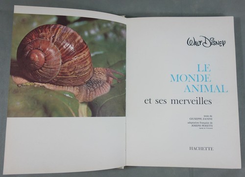 Walt disney monde - disney,