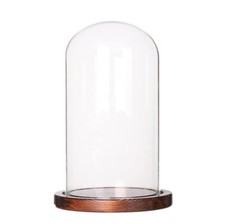 Cloche En Verre Diamètre 25