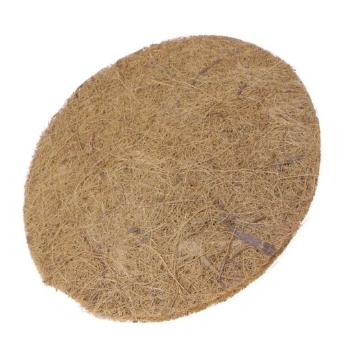 Tapis herbe pour - tapis, pigeon