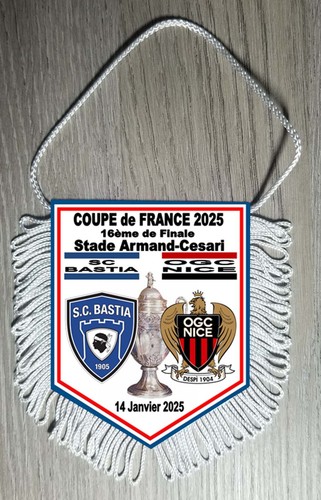Fanion 16ème finale coupe - fanion,