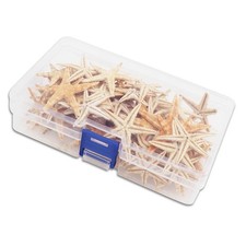 Étoiles de mer naturelles améliore votre artisanat et décoration intérieure