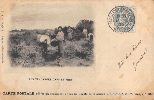 Cpa les vendanges dans - les, le