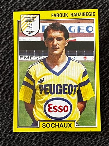 Vignette sticker panini foot - vignette,