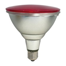 LED Spot PAR38 Verre