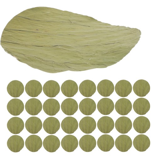 200 pcs assiette sushi à - pcs, de