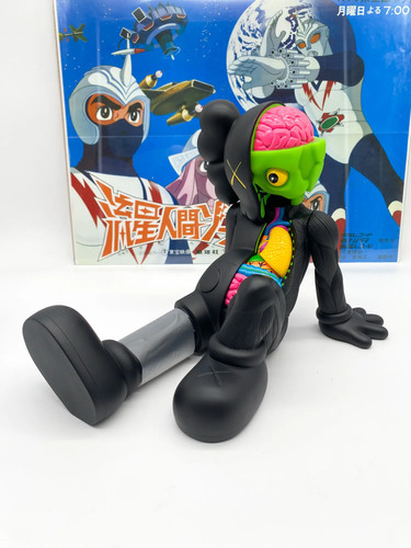 Kaws resting place companion - kaws,