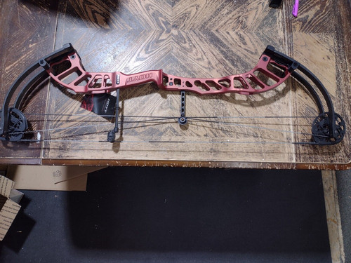 Hoyt altus - hoyt,