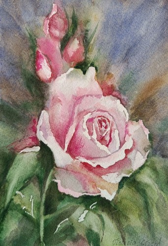 Rose peinture aquarelle - la,