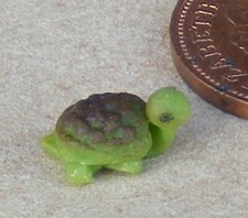 Maison De Poupée Tortue En