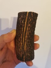 314.CORNE DE CERF ROUGE