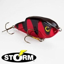 Poisson nageur Storm