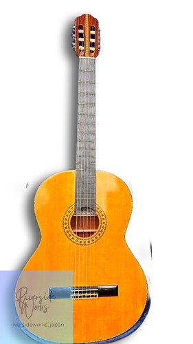 étui rigide pour guitare - rigide,