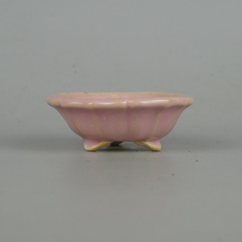 Pot bonsaï japonais - pot, à