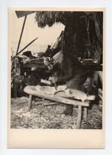 Photographe: Claude Fagé, 1989, Le Jougtier, Joug de Boeuf, Sculpteur, Artisanat