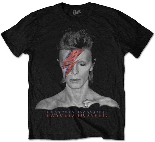 David bowie aladdin sane - david, 'aladdin