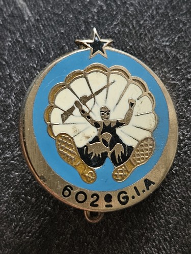 Insigne pucelle militaire - militaire, 602e