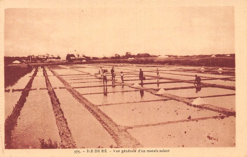Ile re marais salant - marais,