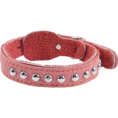 Collerette pour chien collier - pour,