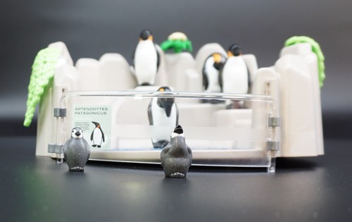 Playmobil zoo pingouins bassin