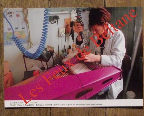Carte postale harpes - carte,