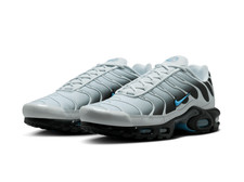 Nike Air Max Plus Gris