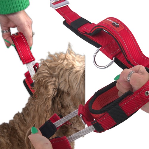 Collier dressage pour chien - de,