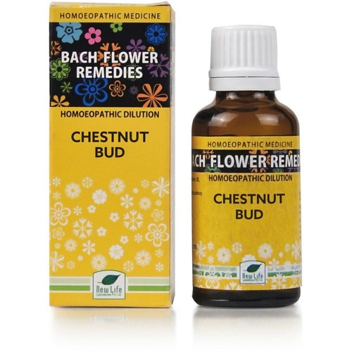 Fleur bach chestnut - fleur, bud
