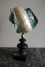 Grand coquillage nacré