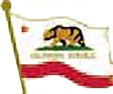 Paquet De 50 California Drapeau Vélo Moto Chapeau Bonnet Revers Broche HP6035