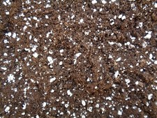 Substrat plante carnivore orchidée : Mélange Tourbe Blonde + Perlite 2000 gr
