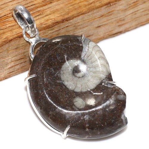 Pendentif fossile ammonite - pendentif,