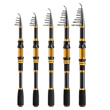 Canne à Pêche Portable