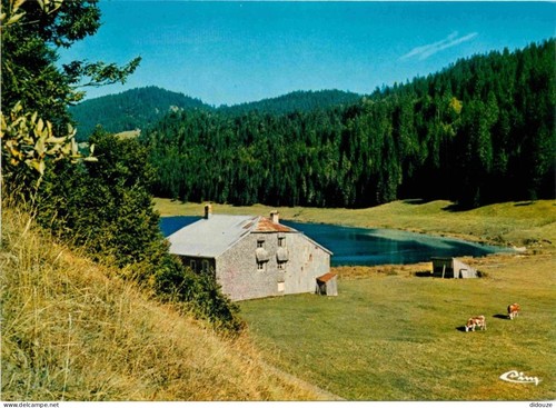 Carte postale ain - -,