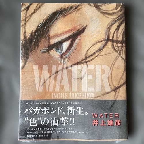Vagabond samurai art book - vagabond,