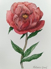 La pivoine bordeaux, Peinture