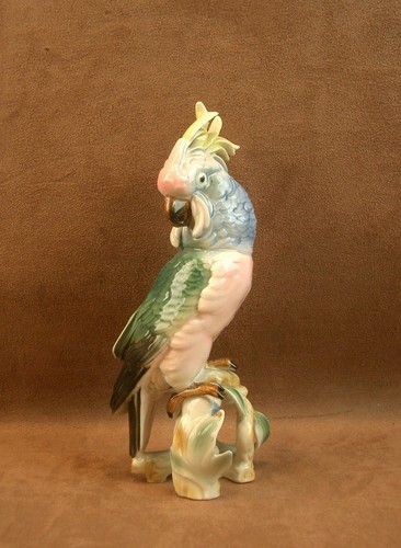 Bel ancien perroquet cacatoès - bel,