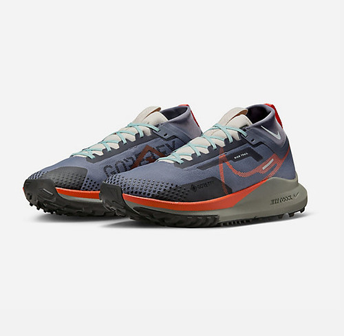 Chaussure trail nike pegasus - chaussure,