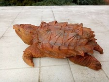 Taxidermie.réplique tortue